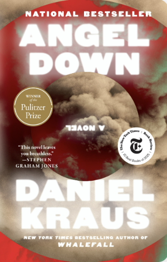Book cover of Angel Down.